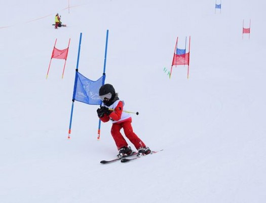 Normal x DSC 0849 (2)